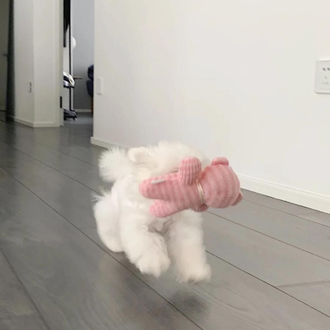 睡得着