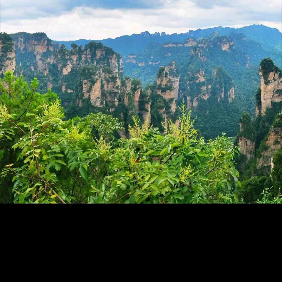 我欲成仙