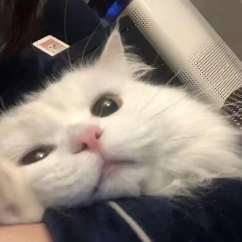 Līr