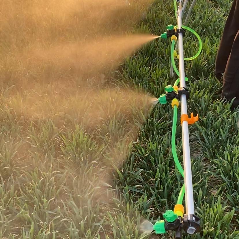 奋斗中的小阿鲁