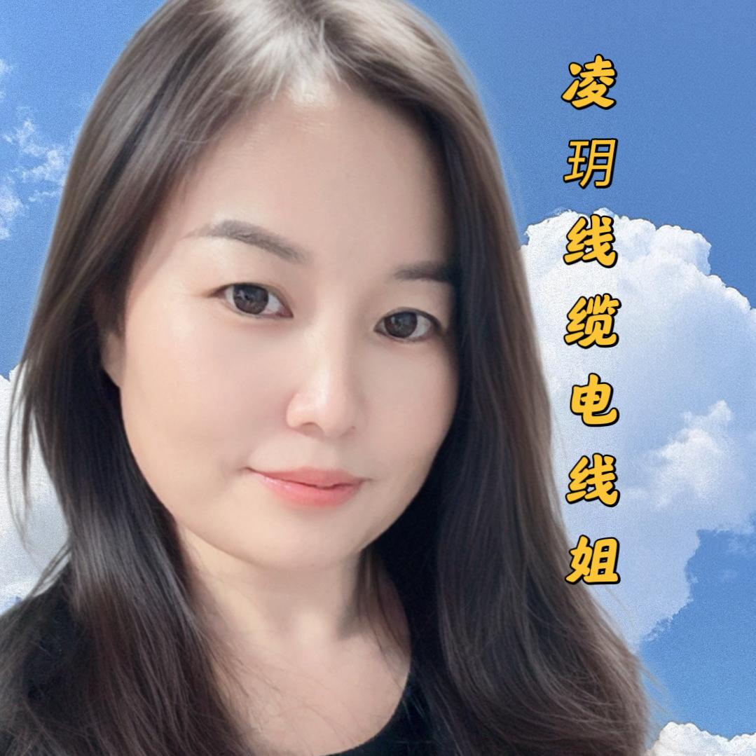 电线姐-凌玥线缆