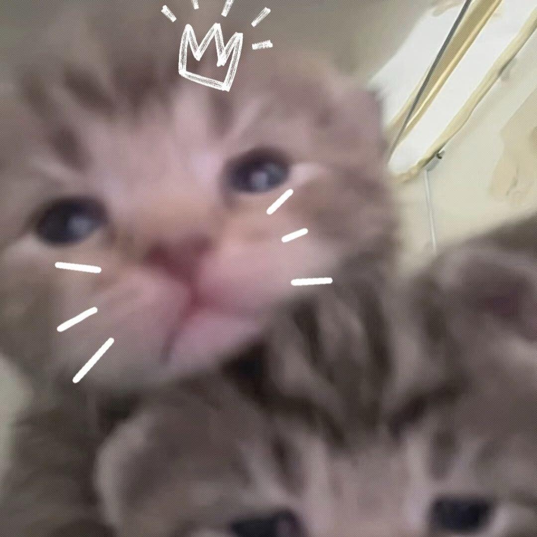 又要碎碎