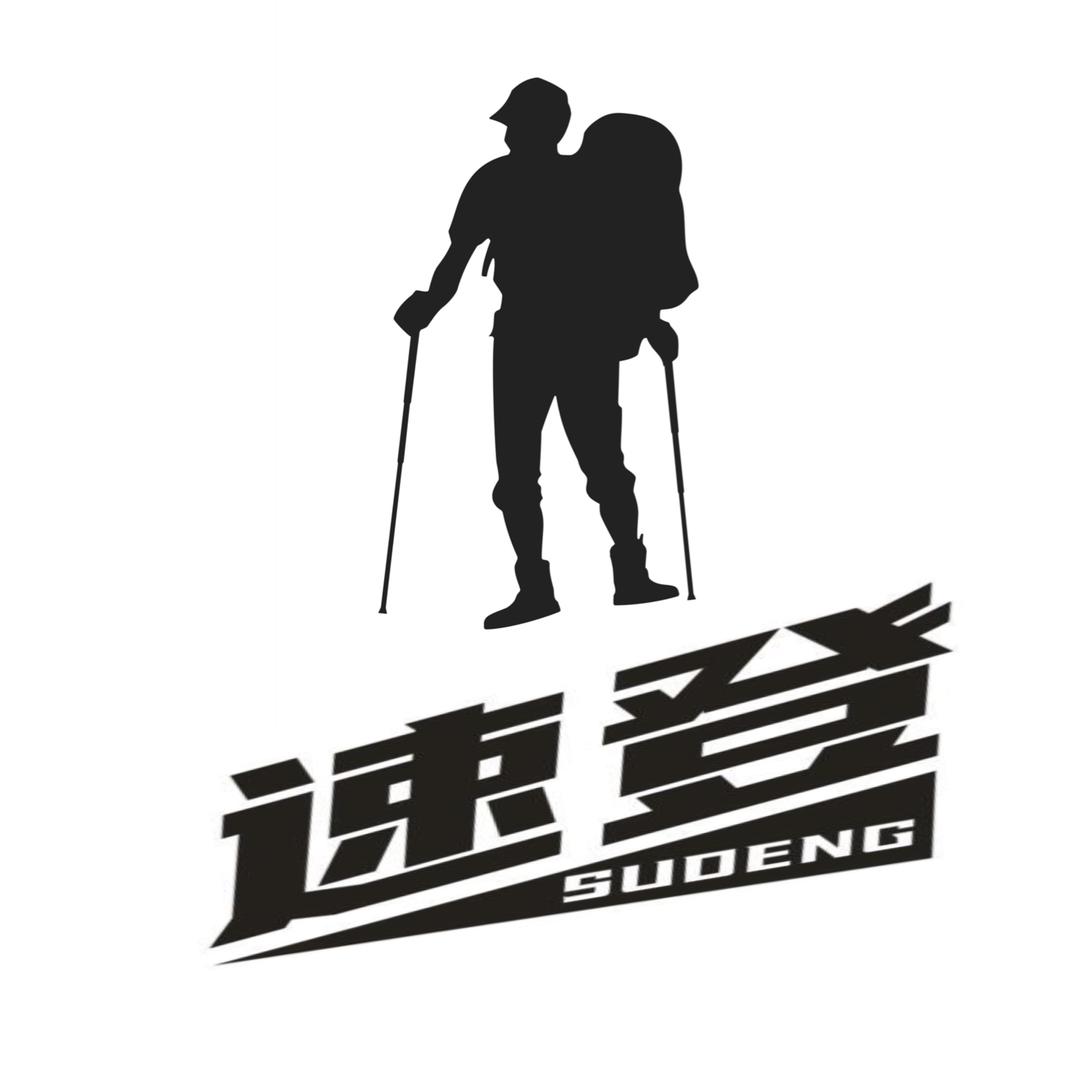 莱奥运动鞋