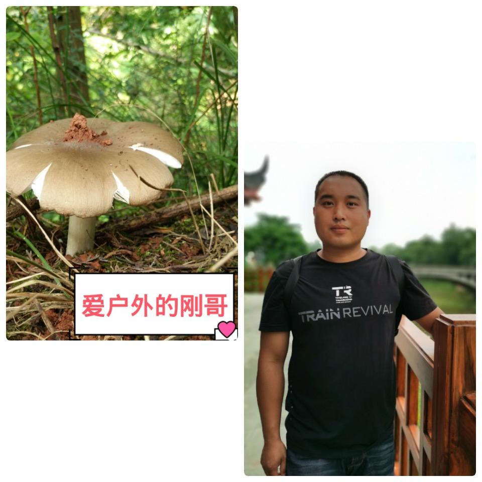 爱户外的刚哥(二娃团)