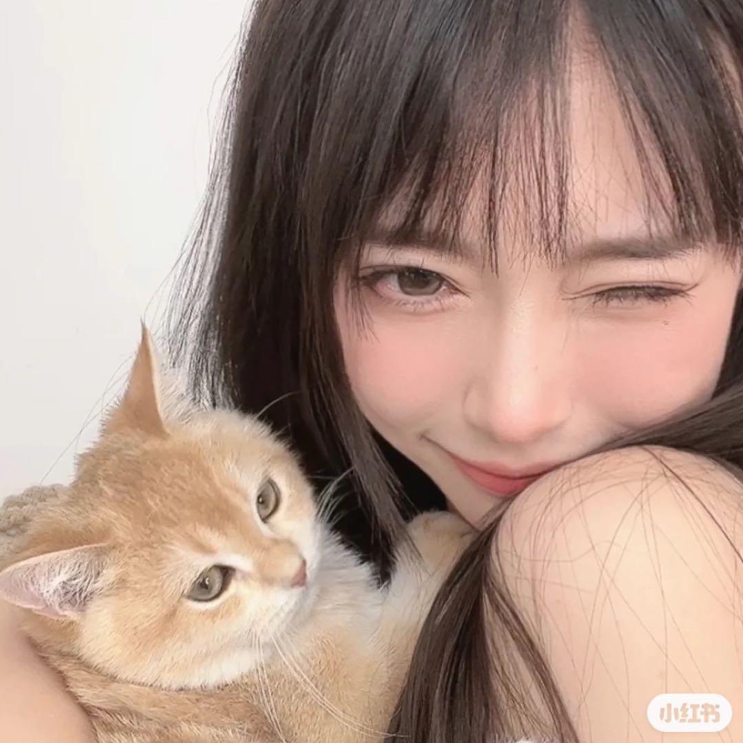 章鱼不饿O