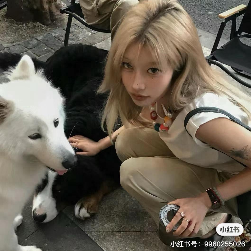 '绵羊🐑