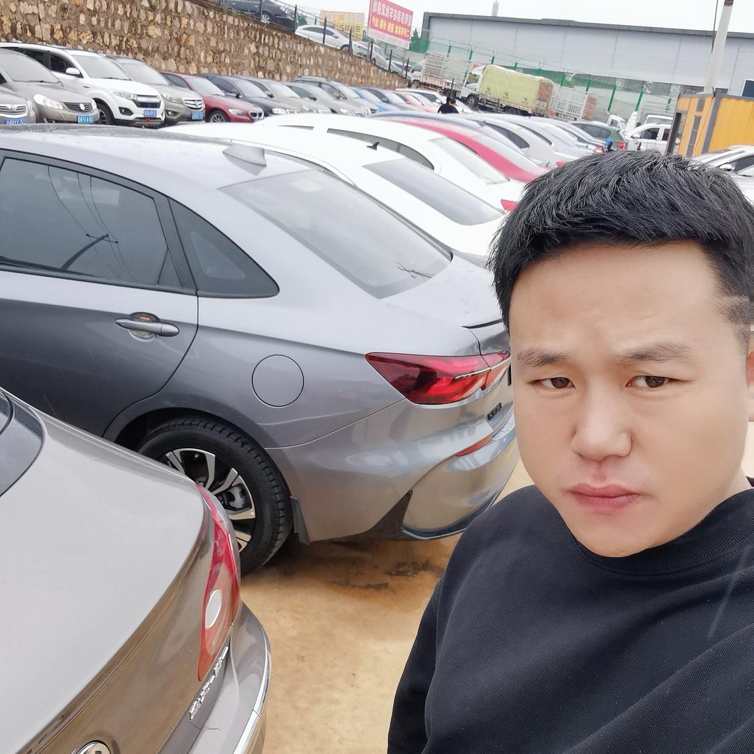 胖胖二手车（转做零首付）