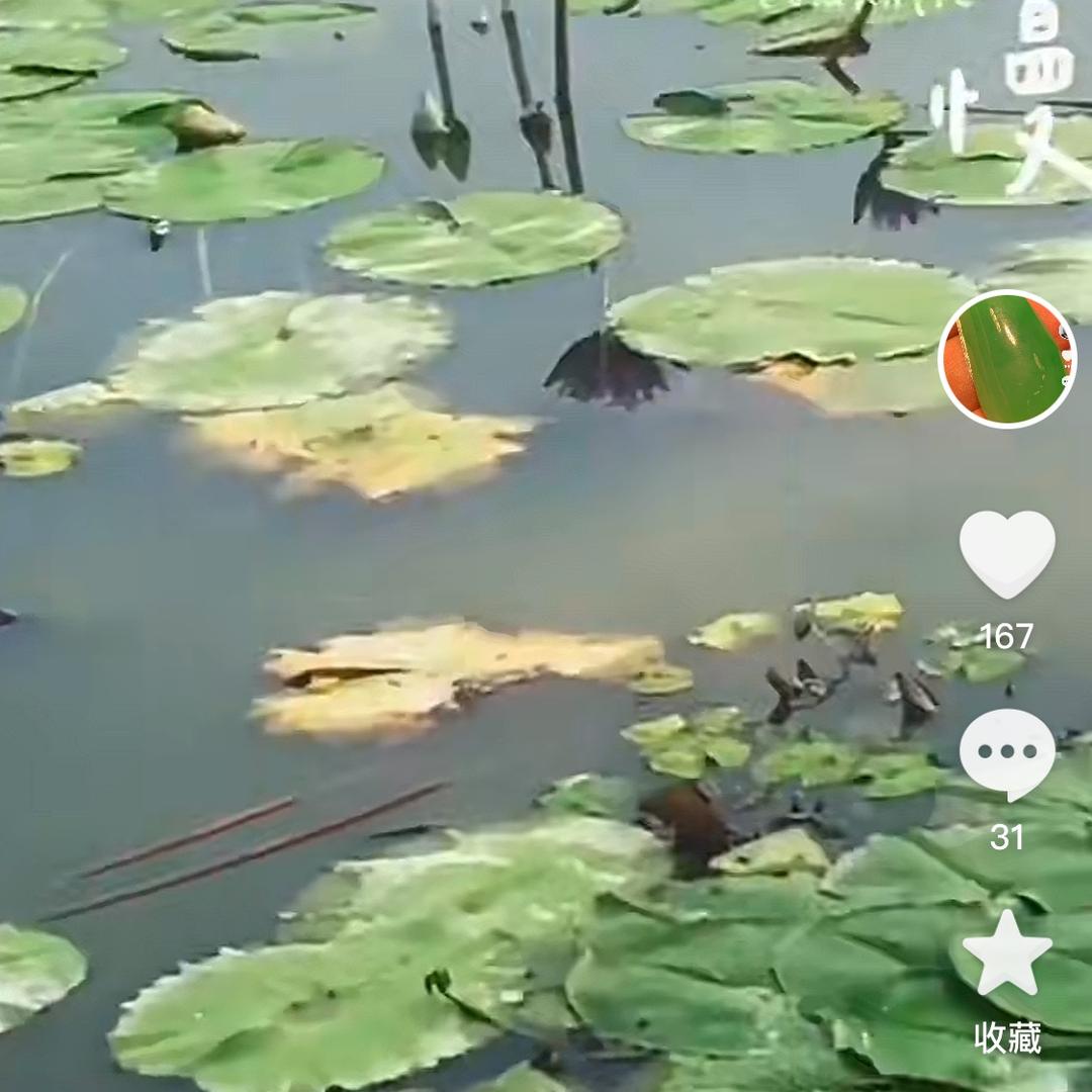 忠鑫靓丽