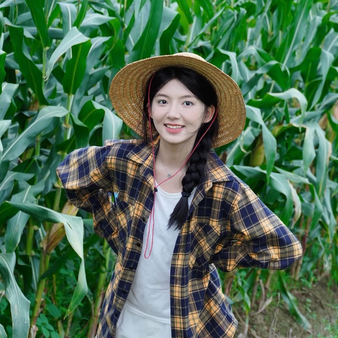 春心安.