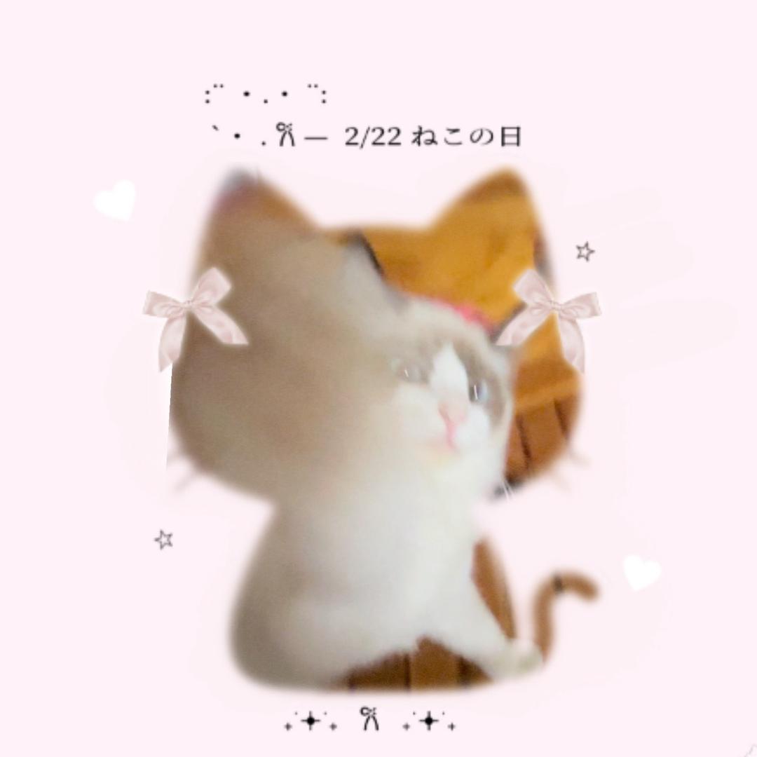 🫟