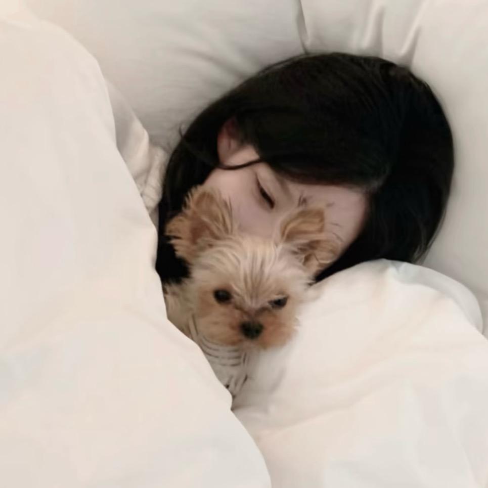 𝗞𝗼𝗶𝗺𝗶𝗮𝗼．