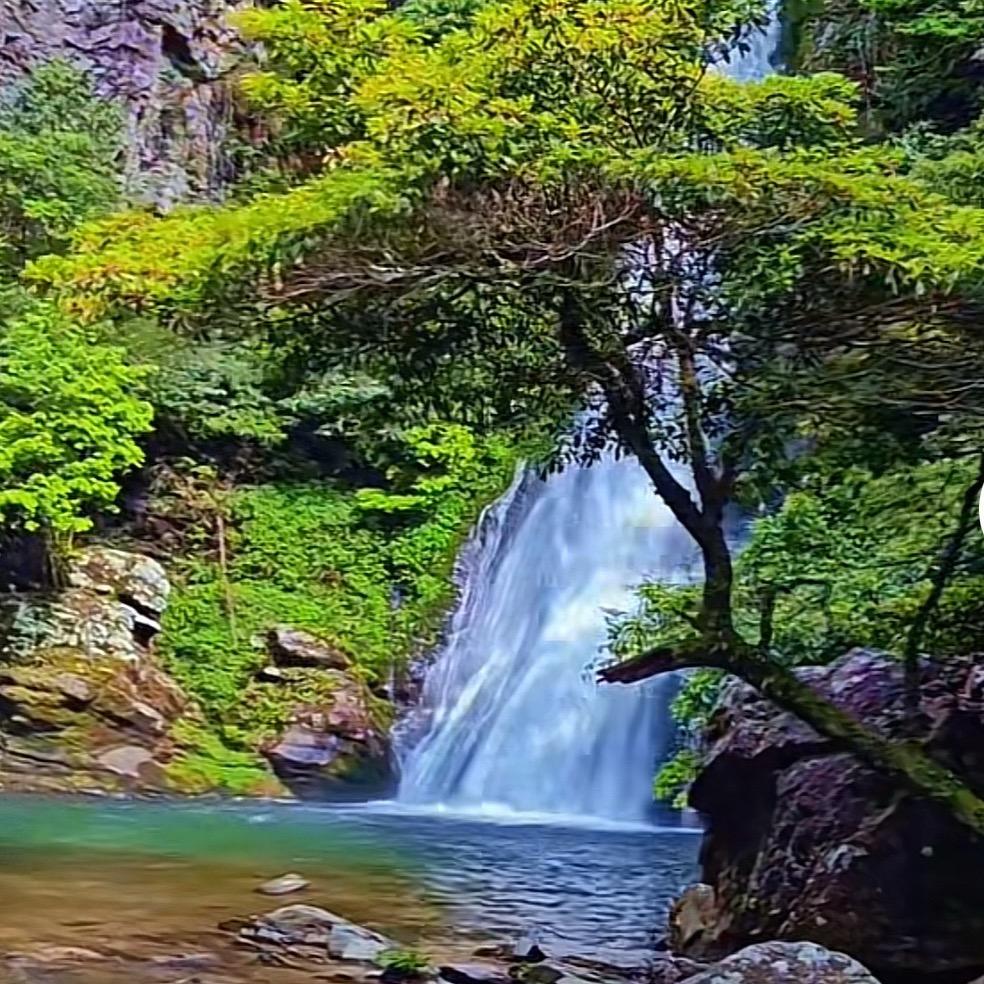 年方不惑