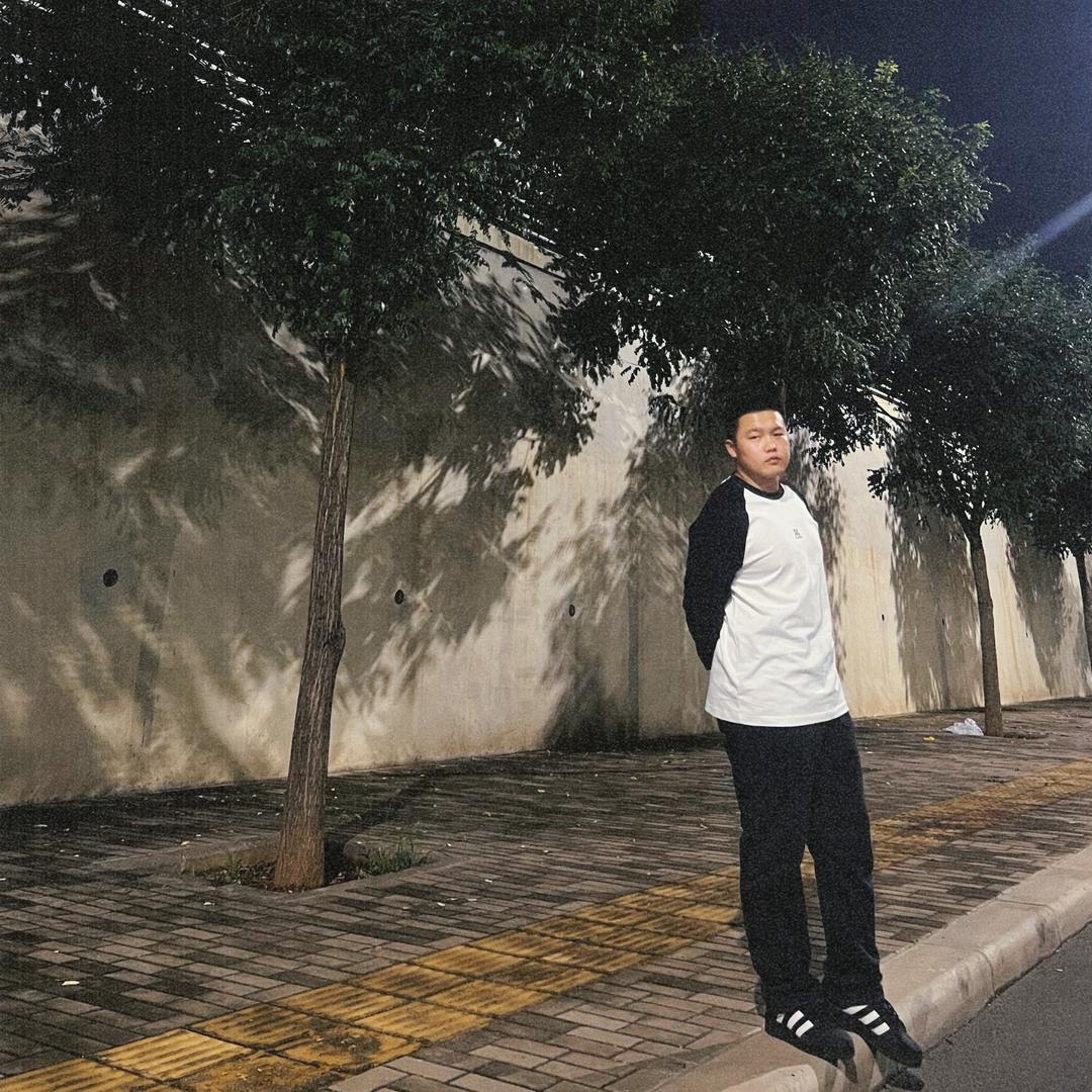 Z鸽（快碳版）-