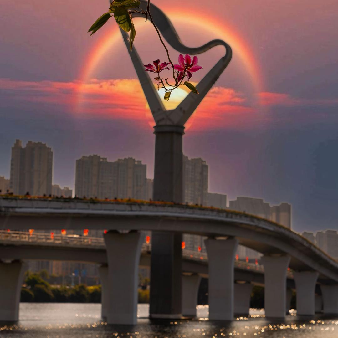 星星爱分享❤️