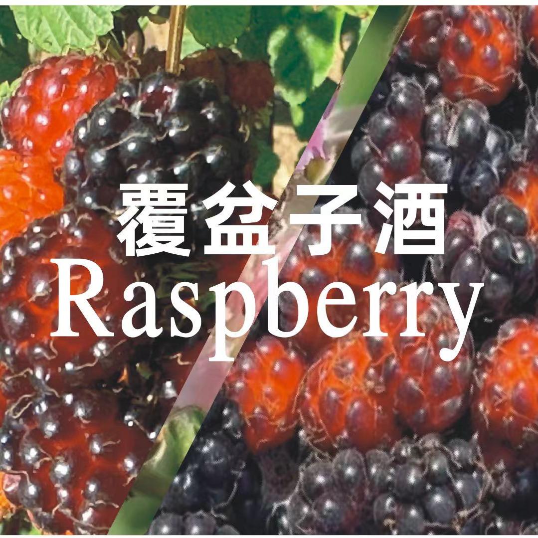 酒儿久知；覆盆子特酿