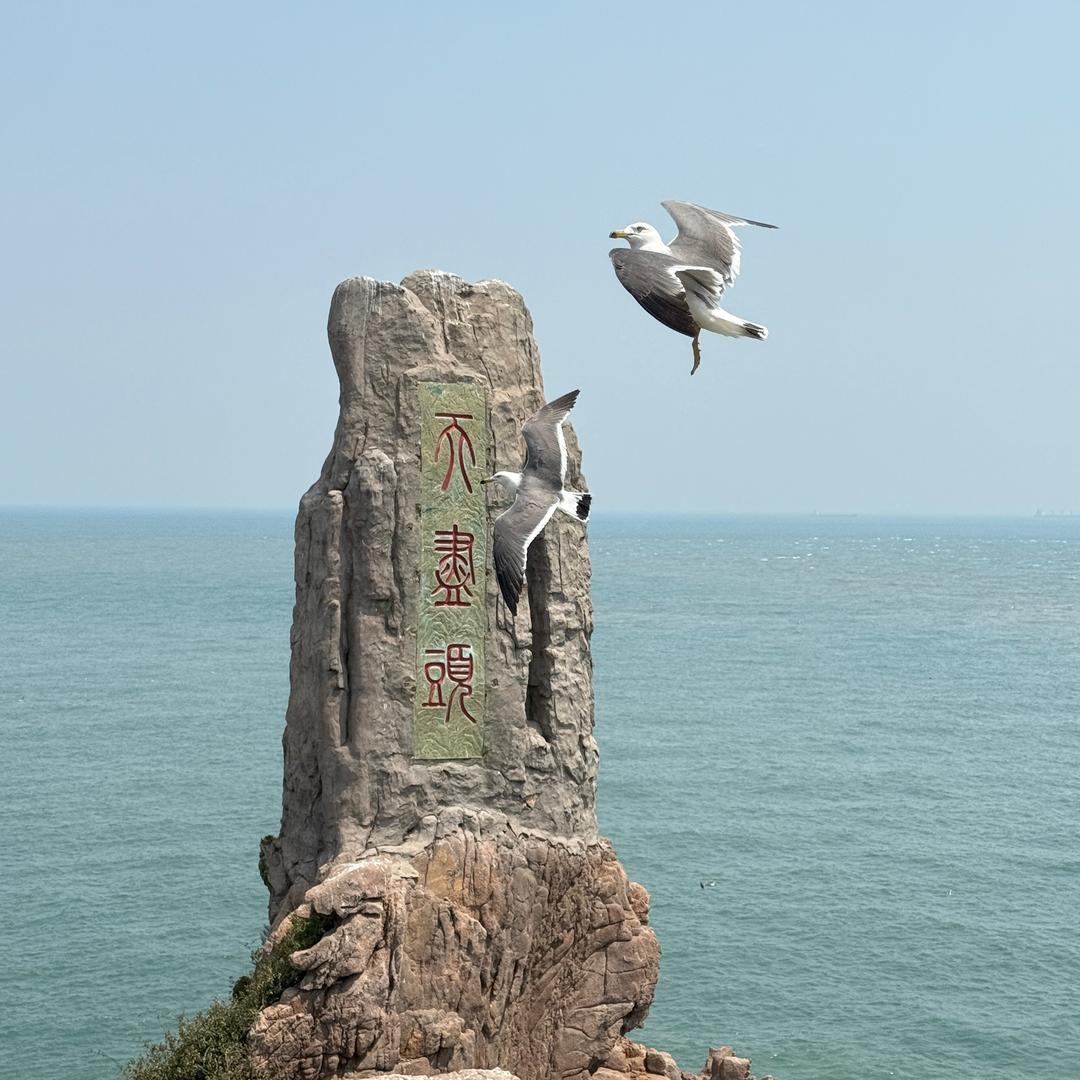 对自己负责_