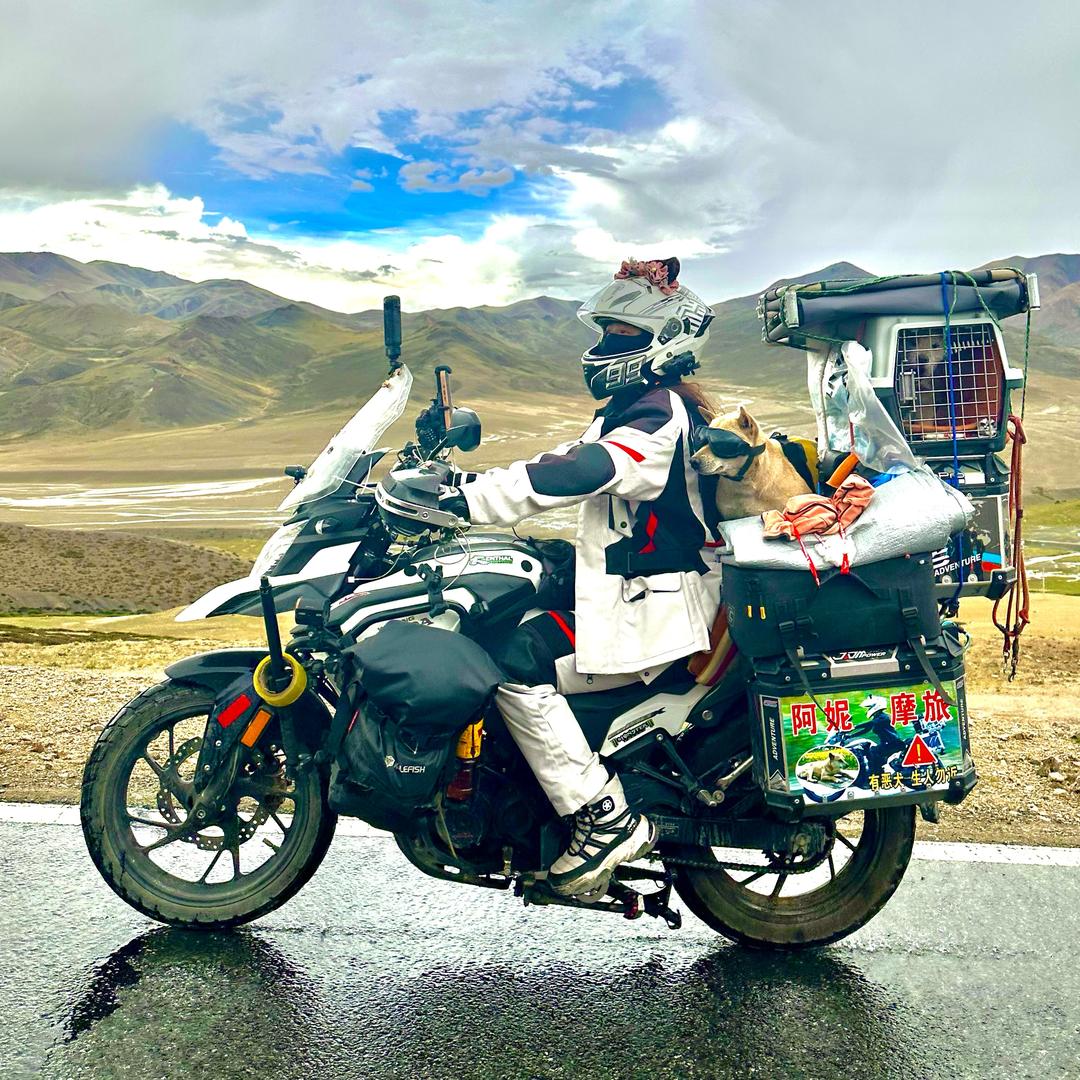 阿妮摩旅