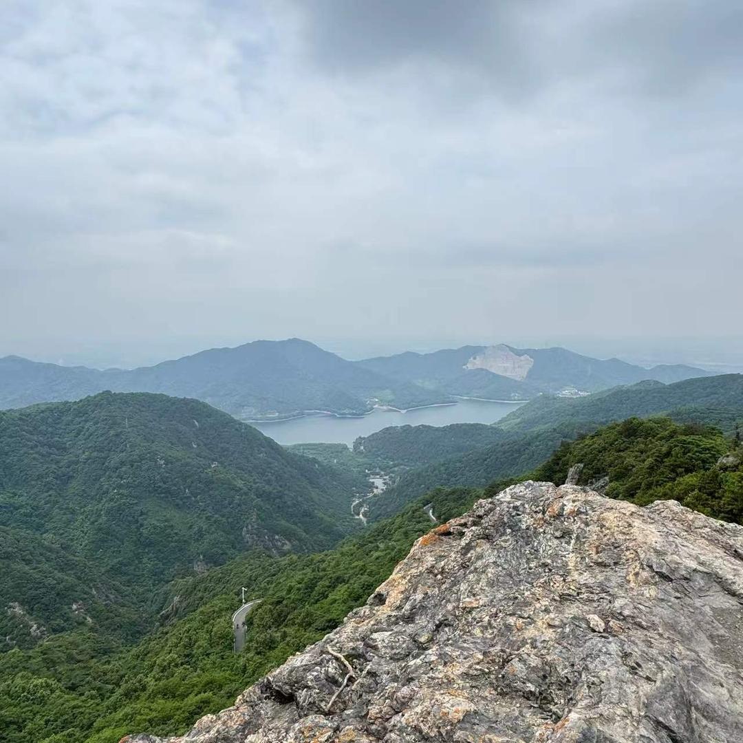 枫宇