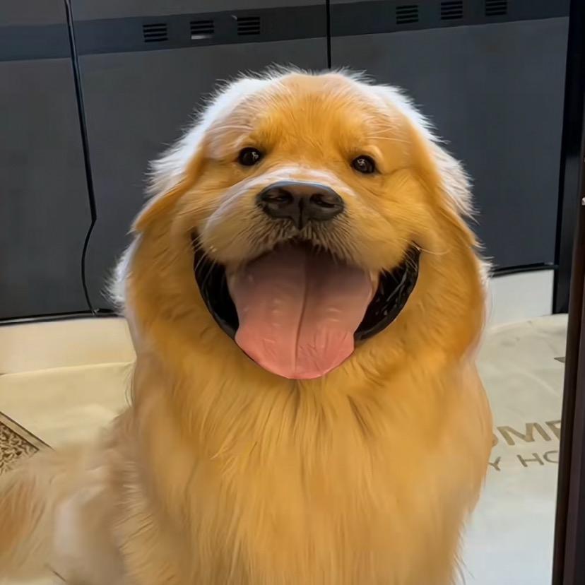 鱼丸汤