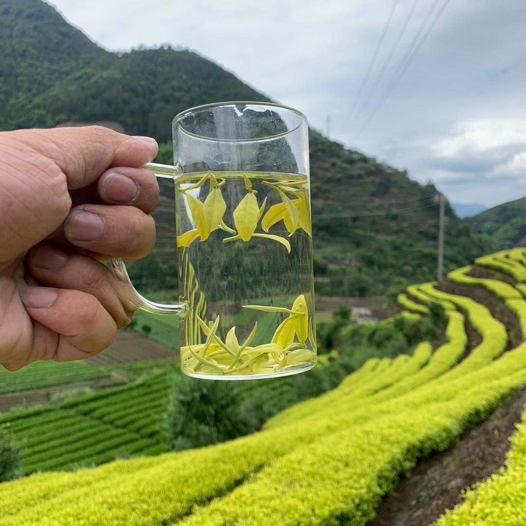 香茗茶叶