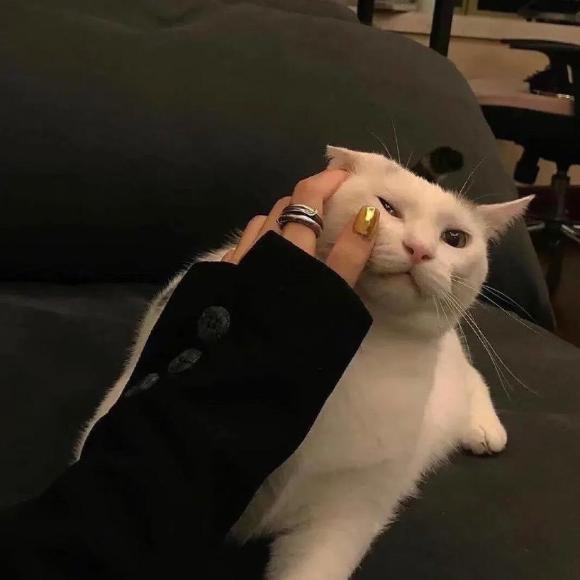 玉米姐姐吃玉米🌽