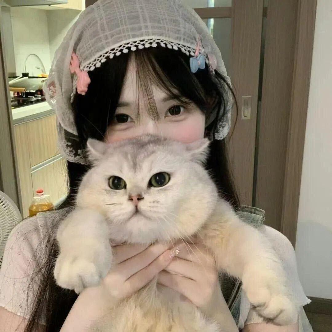 星星