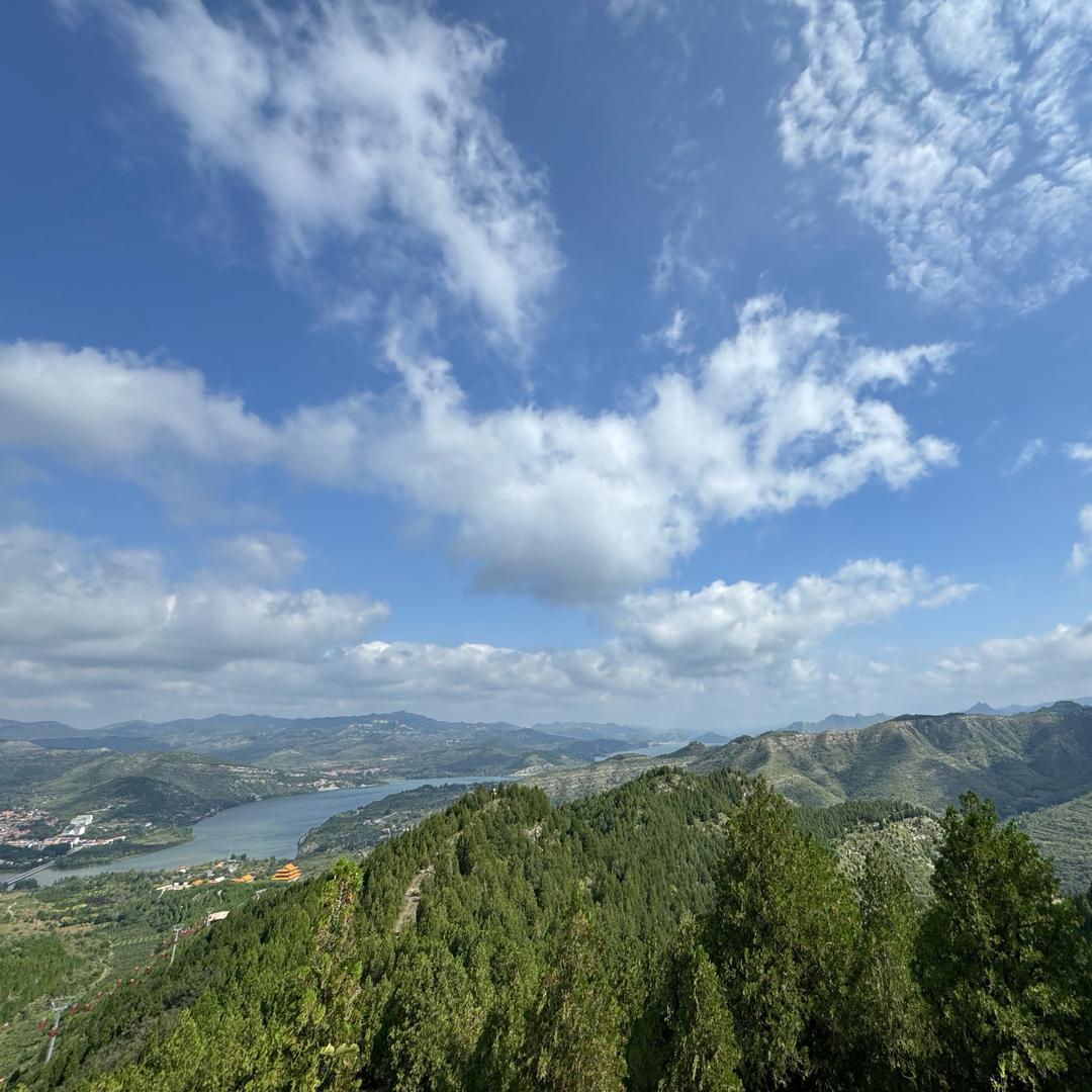 劈柴🪵种地🌾
