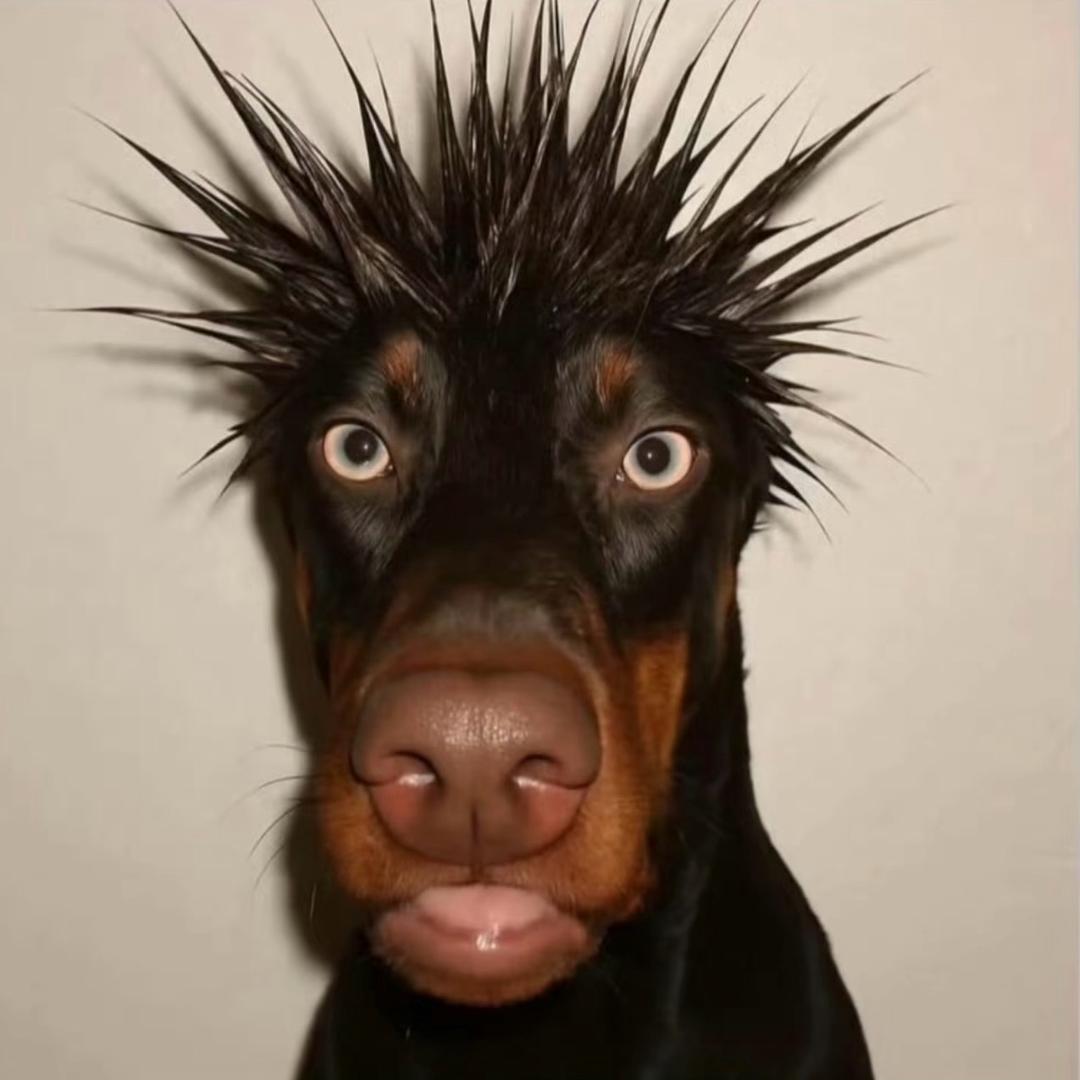 A跆拳道馆张教练