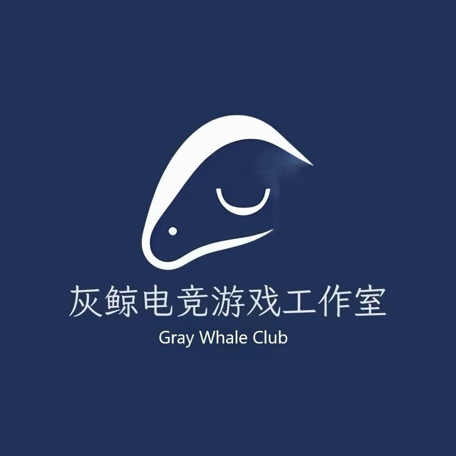灰鲸电竞三角洲
