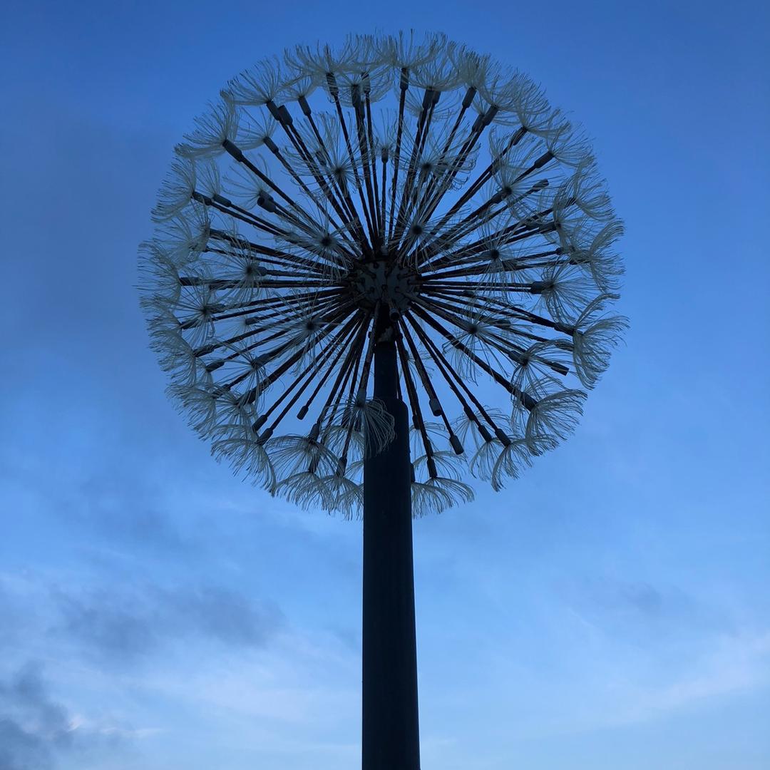 人生识字孤独始。 💤