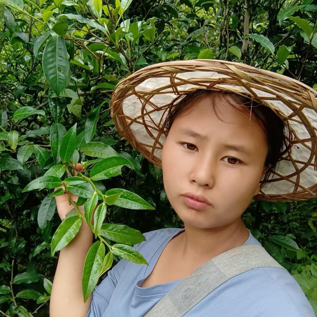 南迫拉祜小妹96号