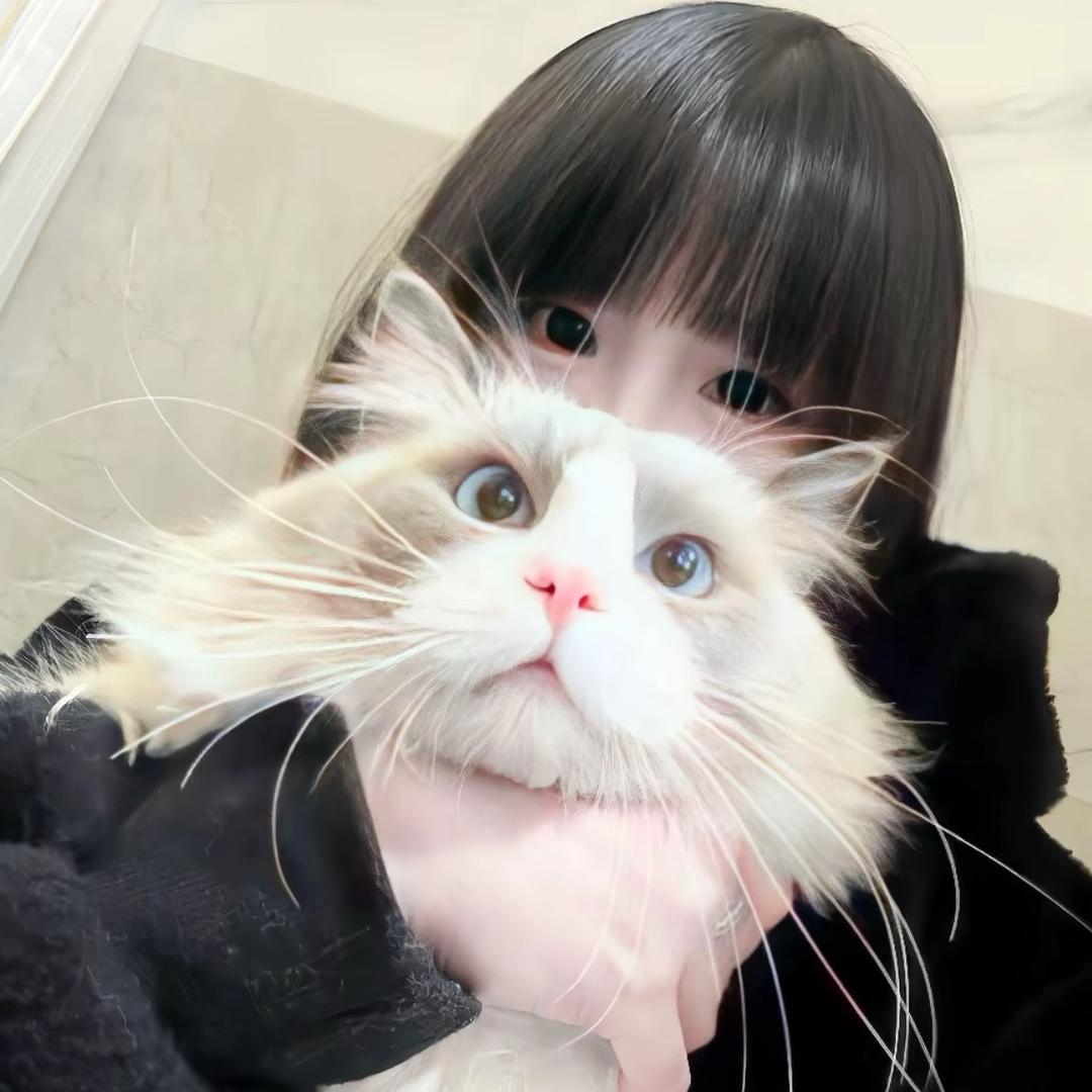 别烦我