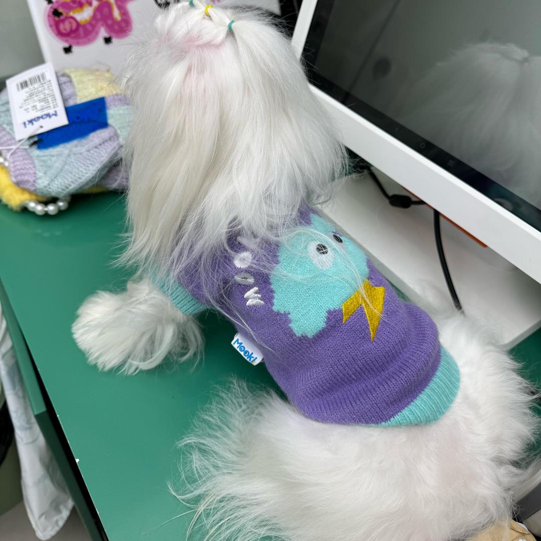 檬贝贝宠物幼稚园