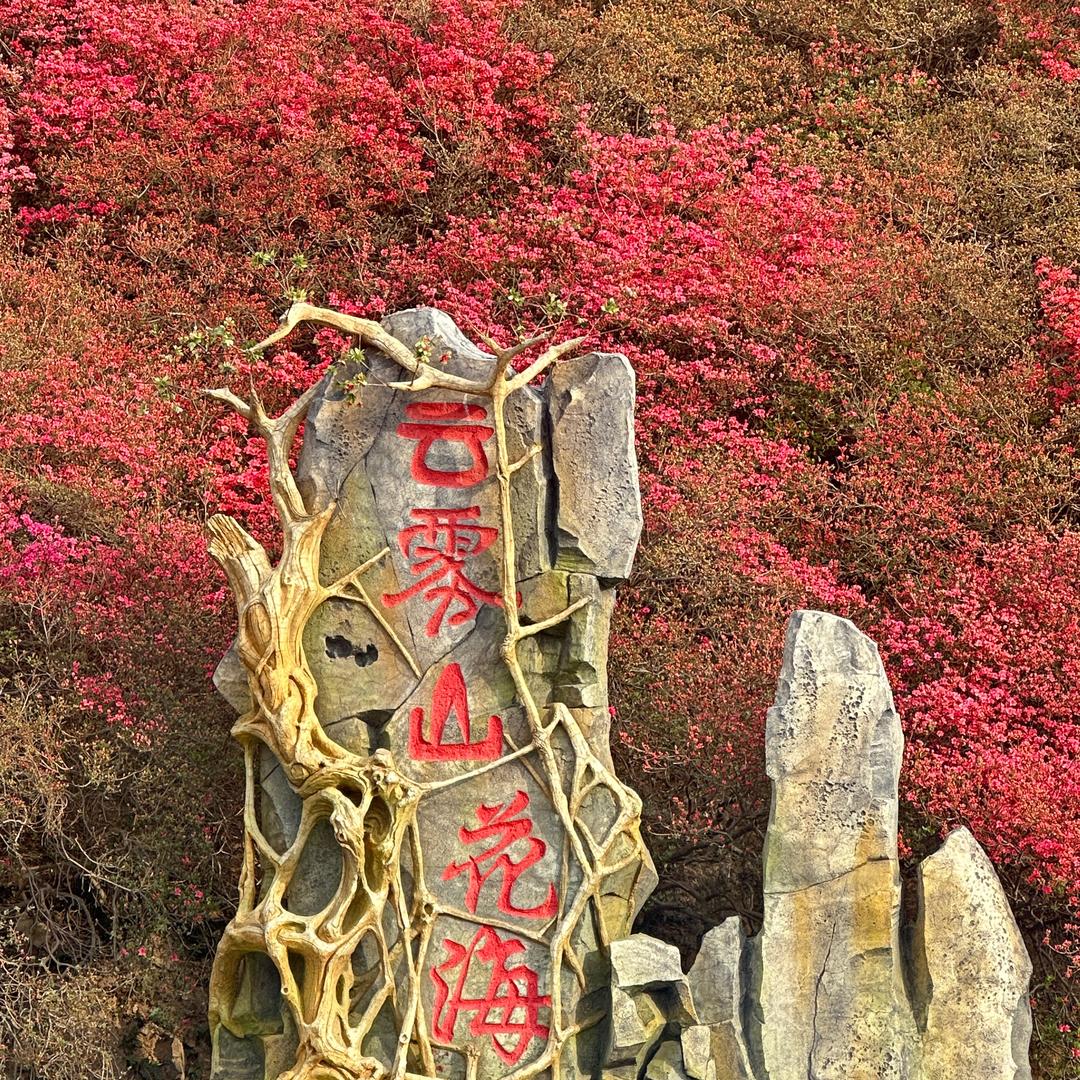牛哥