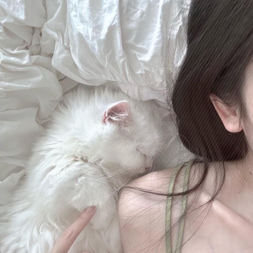不吃葱姜蒜～