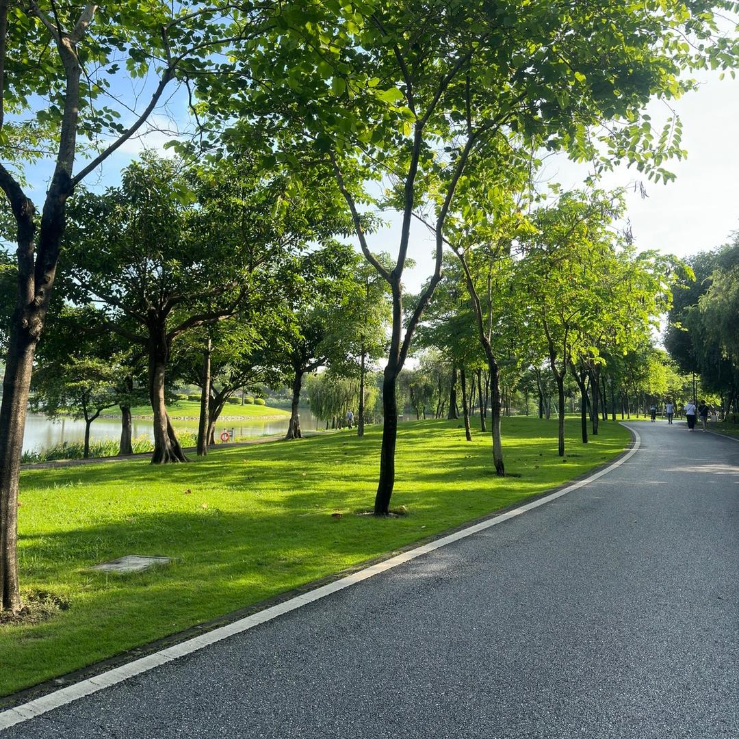 在路上…