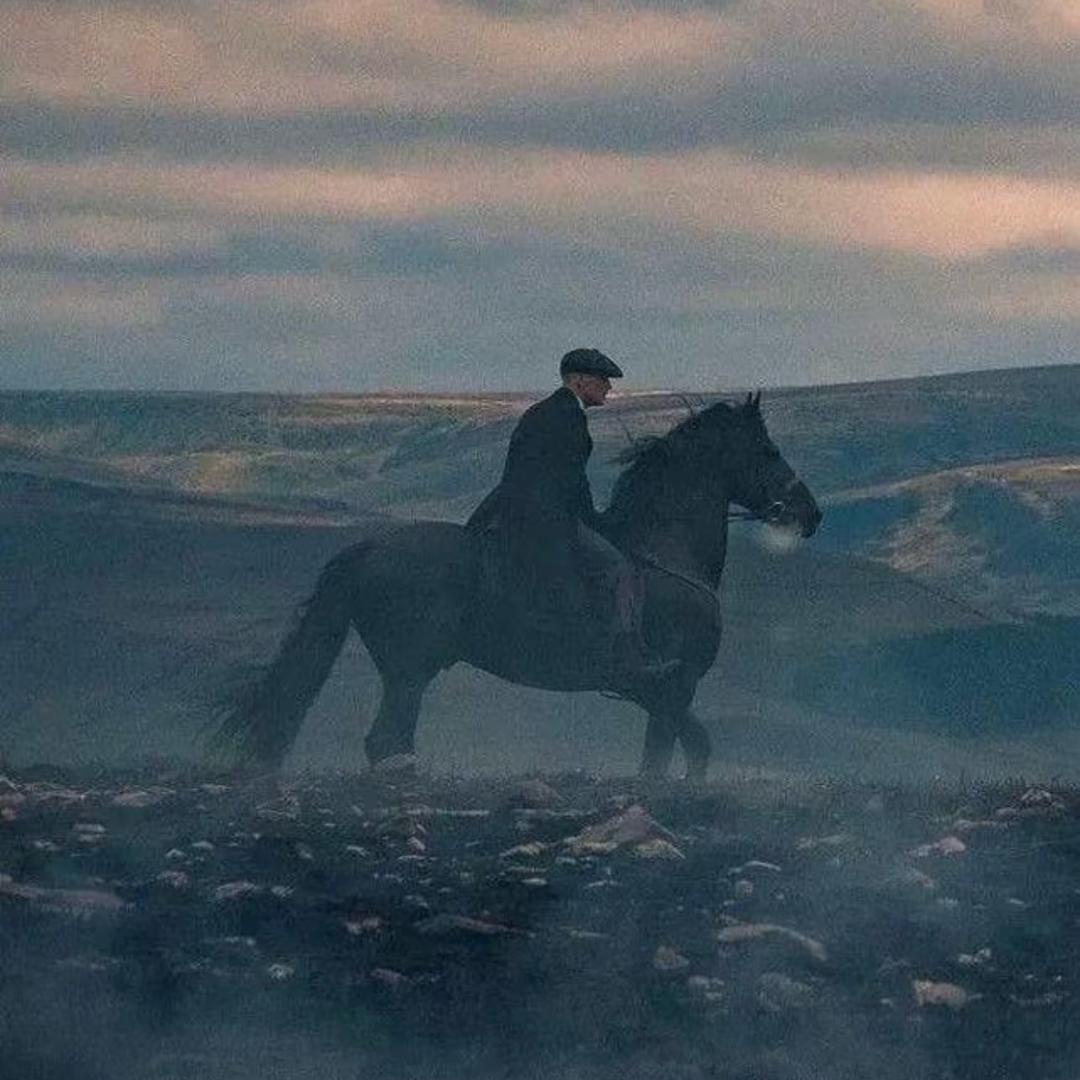 @𝙁𝙞𝙨𝙝。