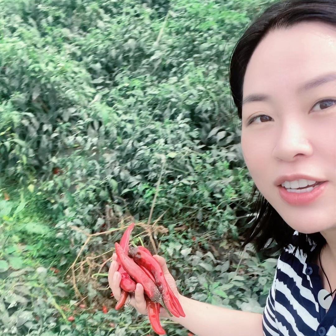 湘辣辣邵阳土特产