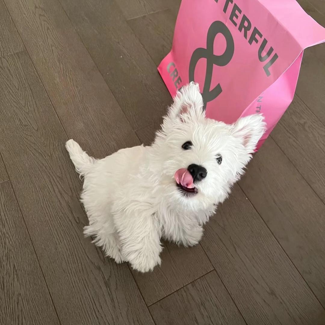 发现老婆是le后自己也脱掉了男装