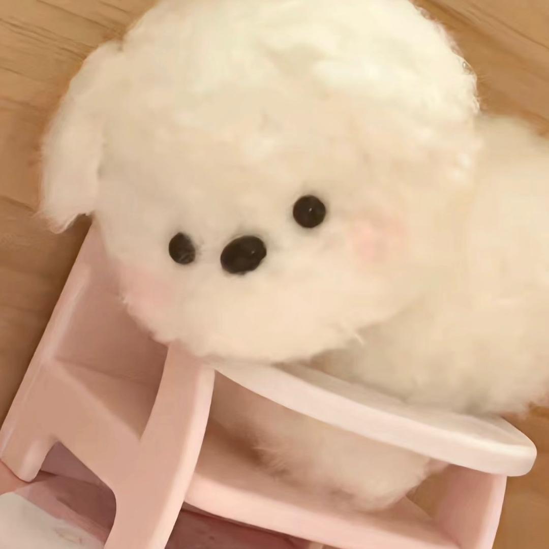 南瓜滚滚