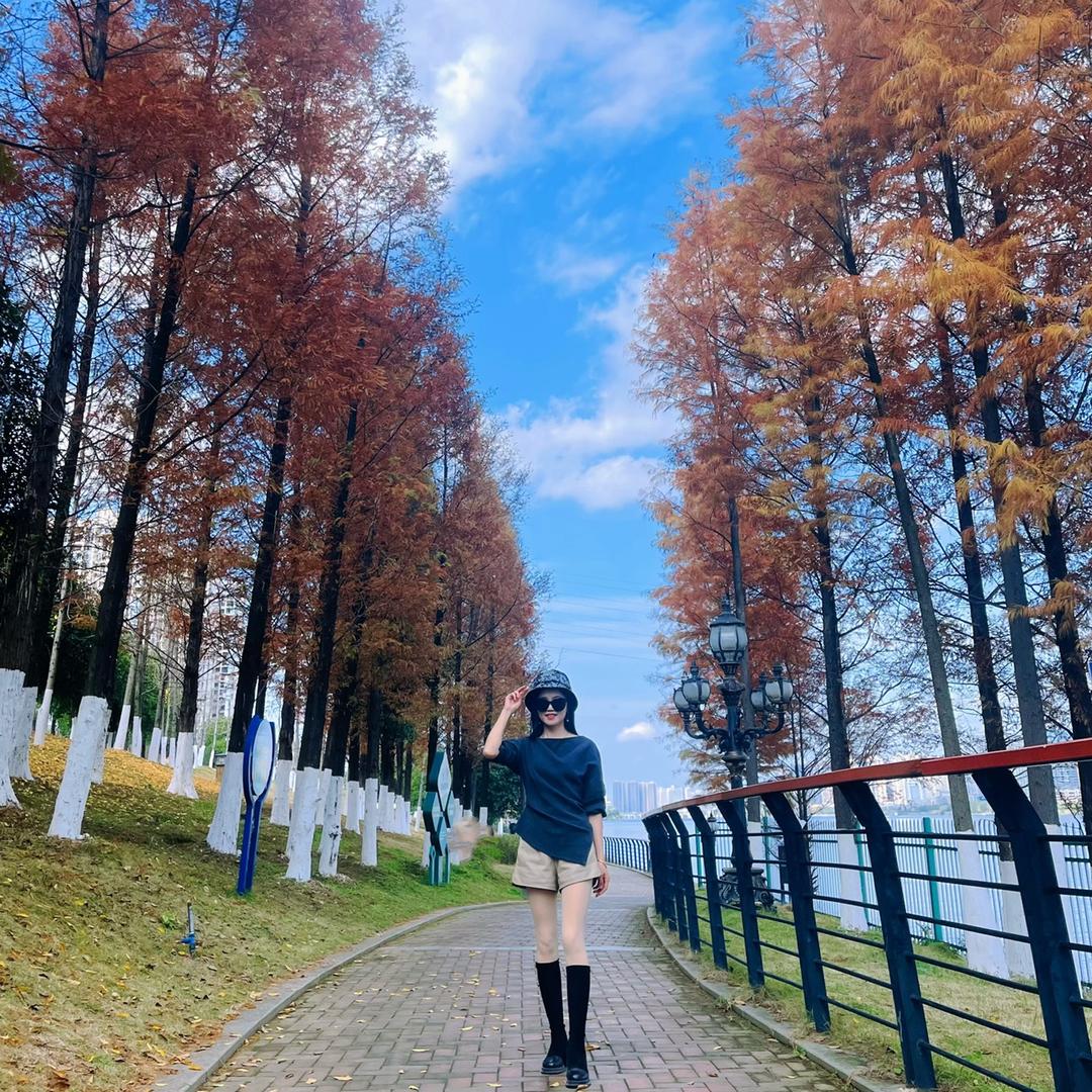 向阳🌻