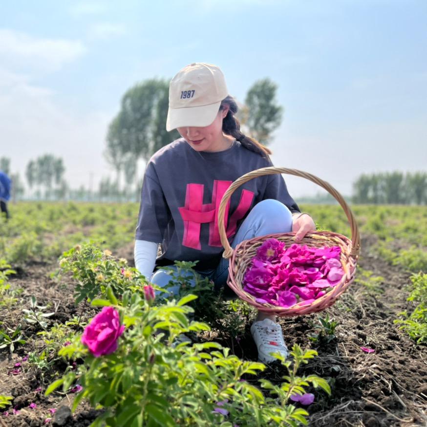 香香～佳华玫瑰园