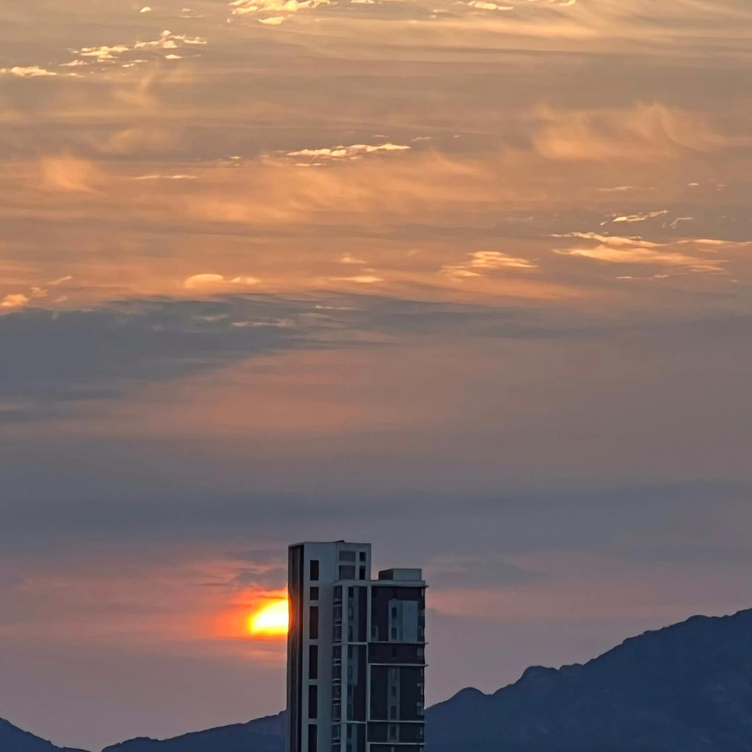 水泥黄沙宠粉号