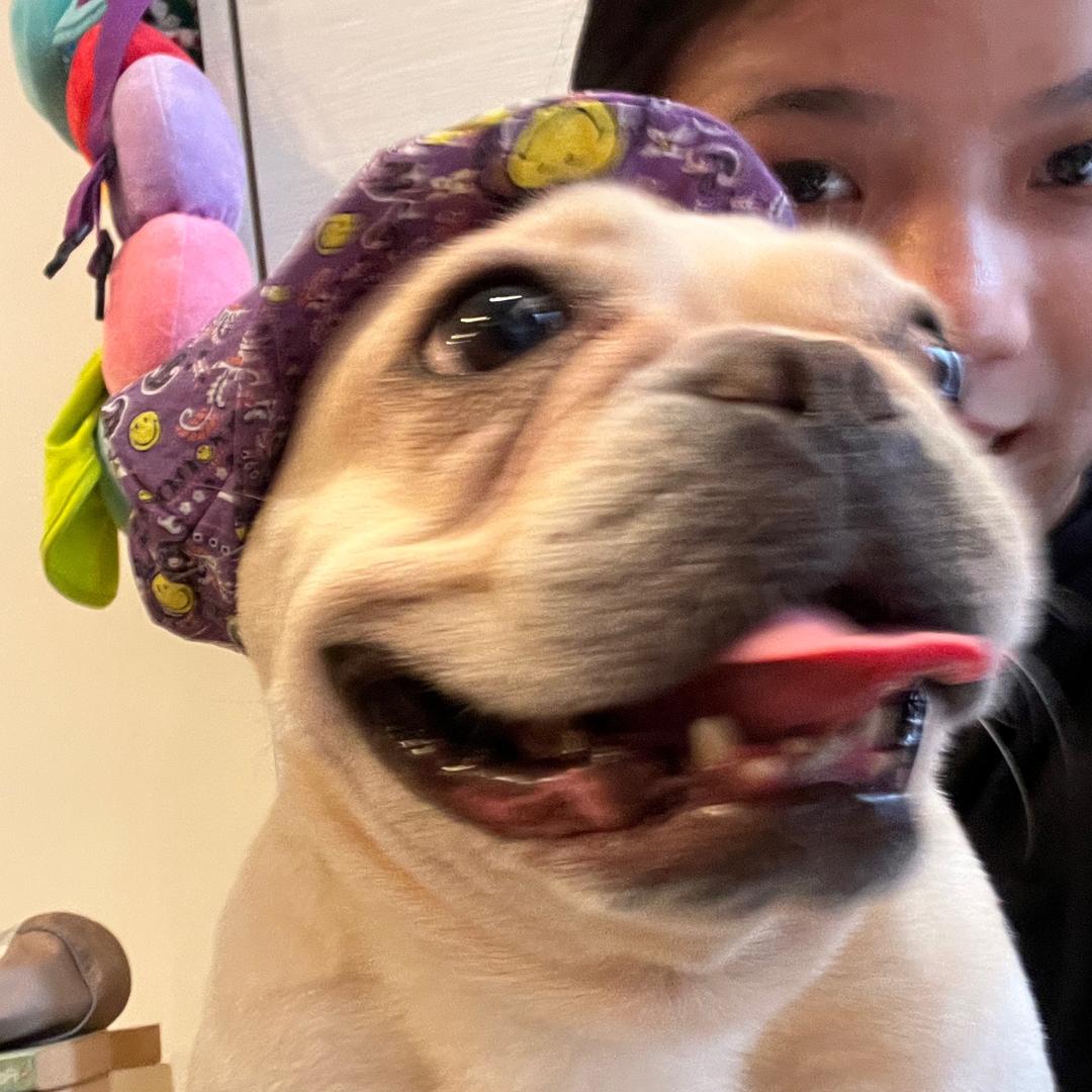 🌈jjjjllala