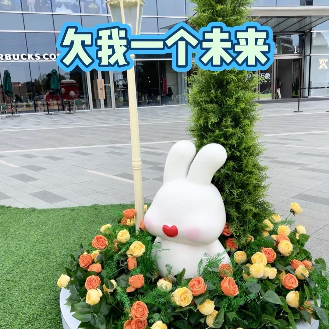 天上掉下个琳妹子