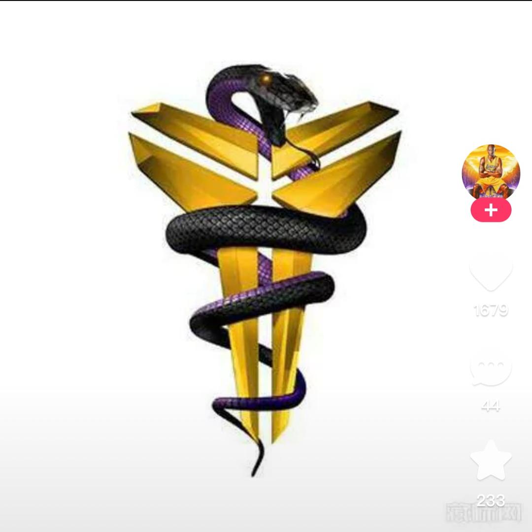 曼巴红旗
