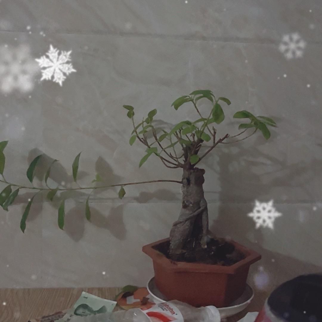 渴望着 美好时光~💖💖…