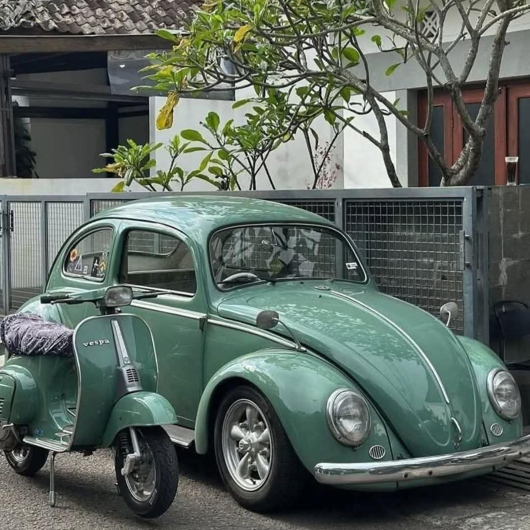 疯癫汽车