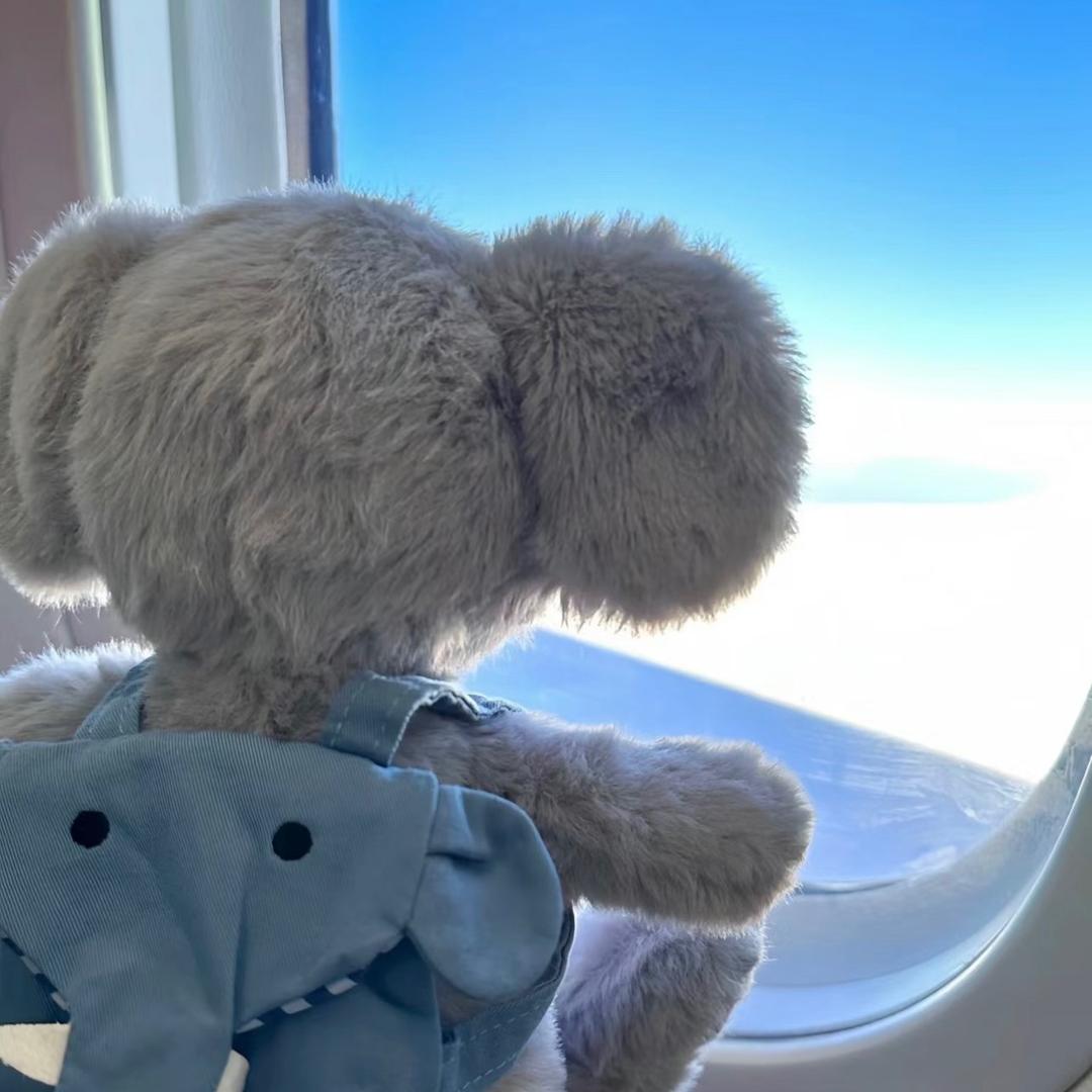 (´•༝•`)l ozzzZ