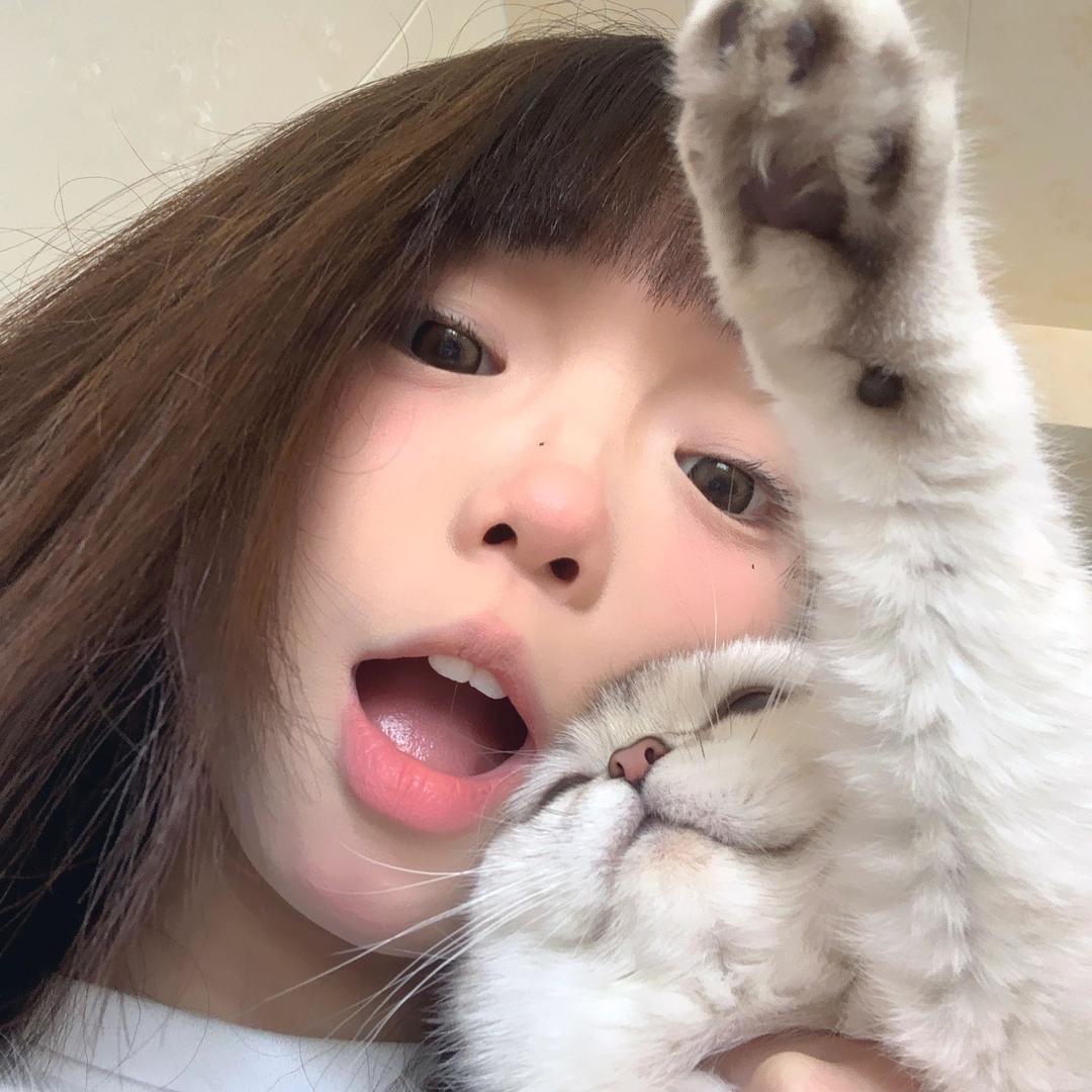 🎹喵了个雅🐈